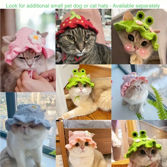 Crochet Green Frog Hat for Small Pets, Cat or Dog - Picture 16 of 16